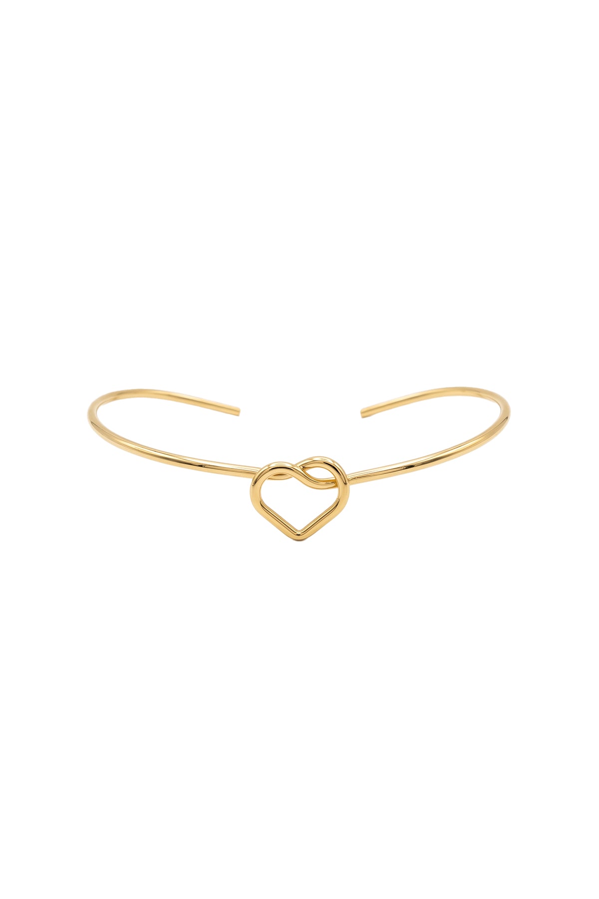 Çelik Coeur Choker Kolye