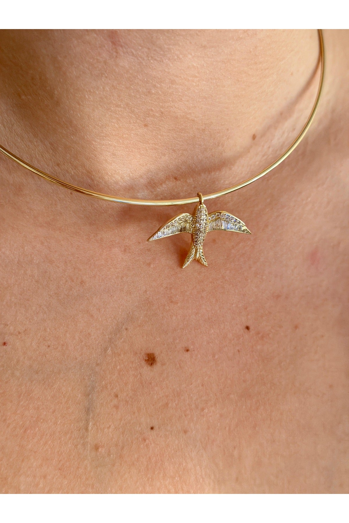 Çelik tasarım anka kuşu Choker kolye