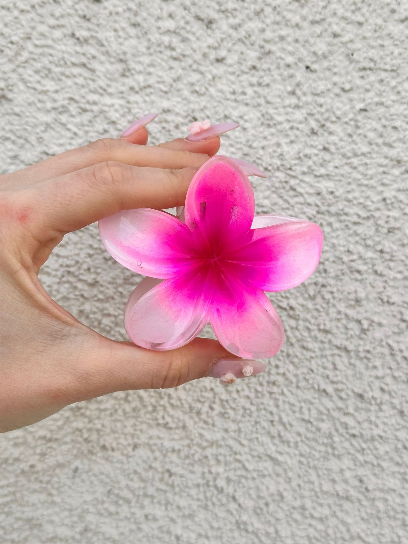Lotus Toka Pembe