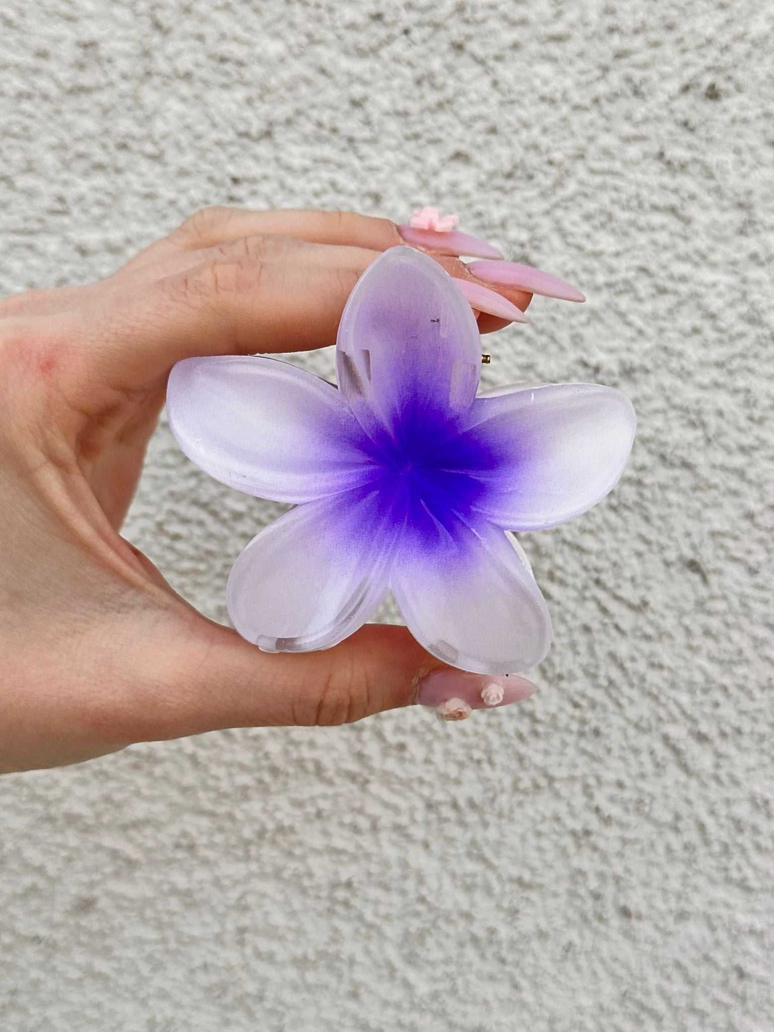 Lotus Toka Mor