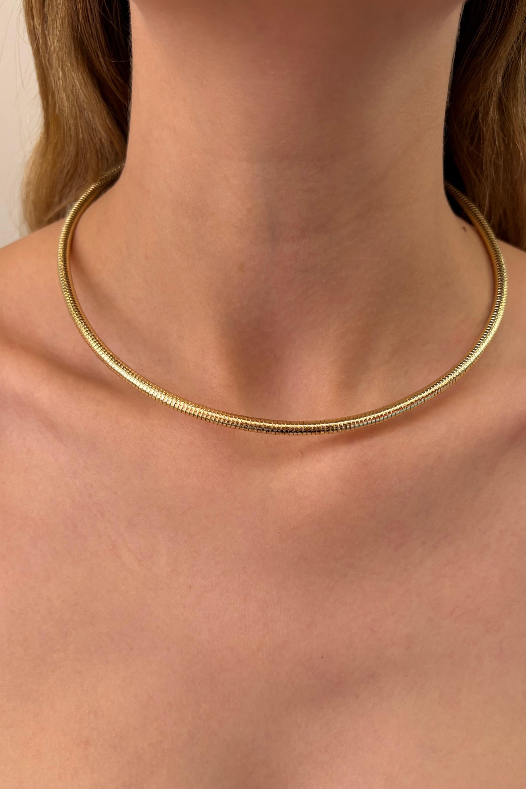 Çelik Valora Choker Kolye