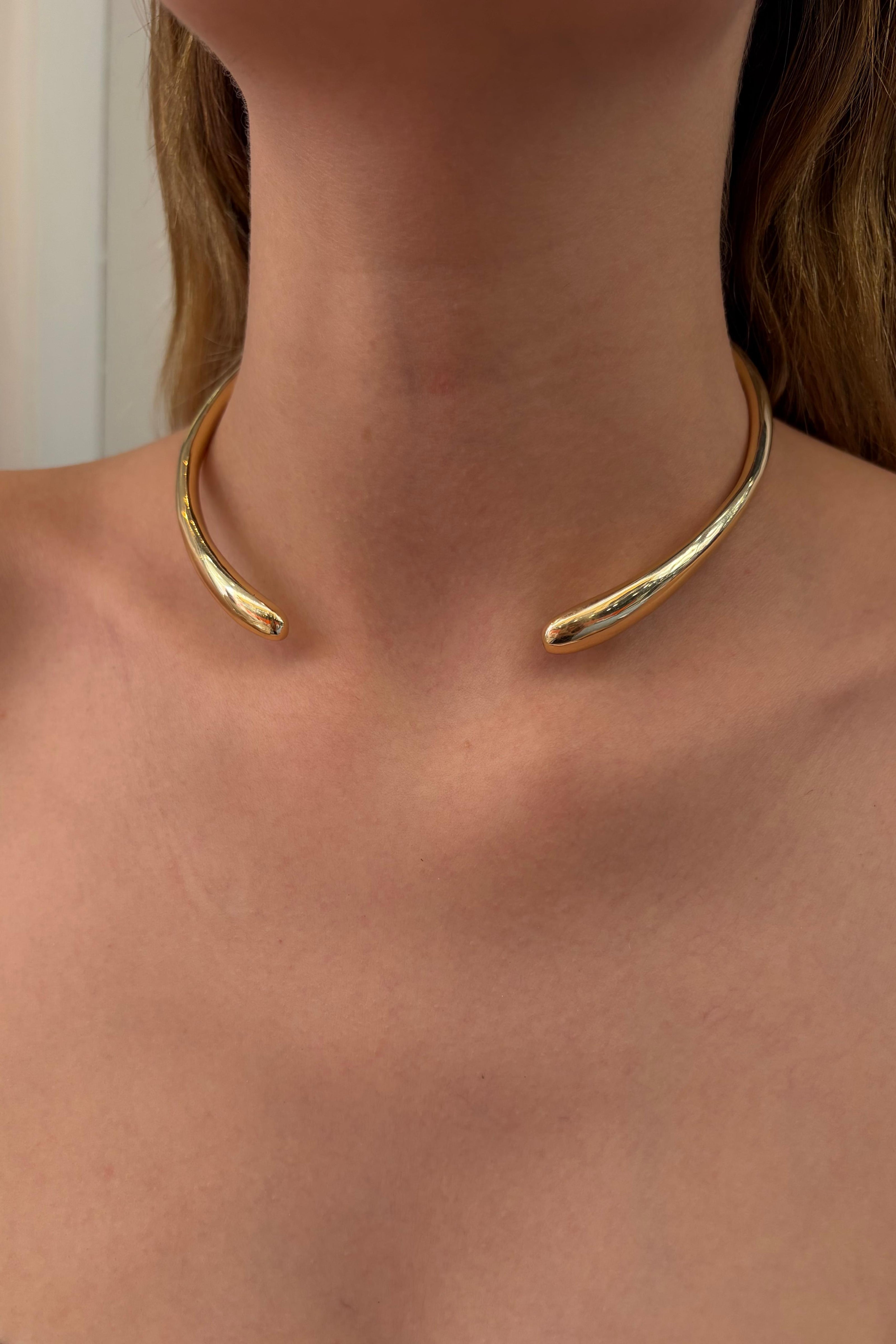 Çelik Eterna Choker Kolye