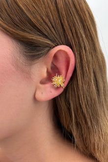 Çelik Sıkıştırmalı Solara Earcuff