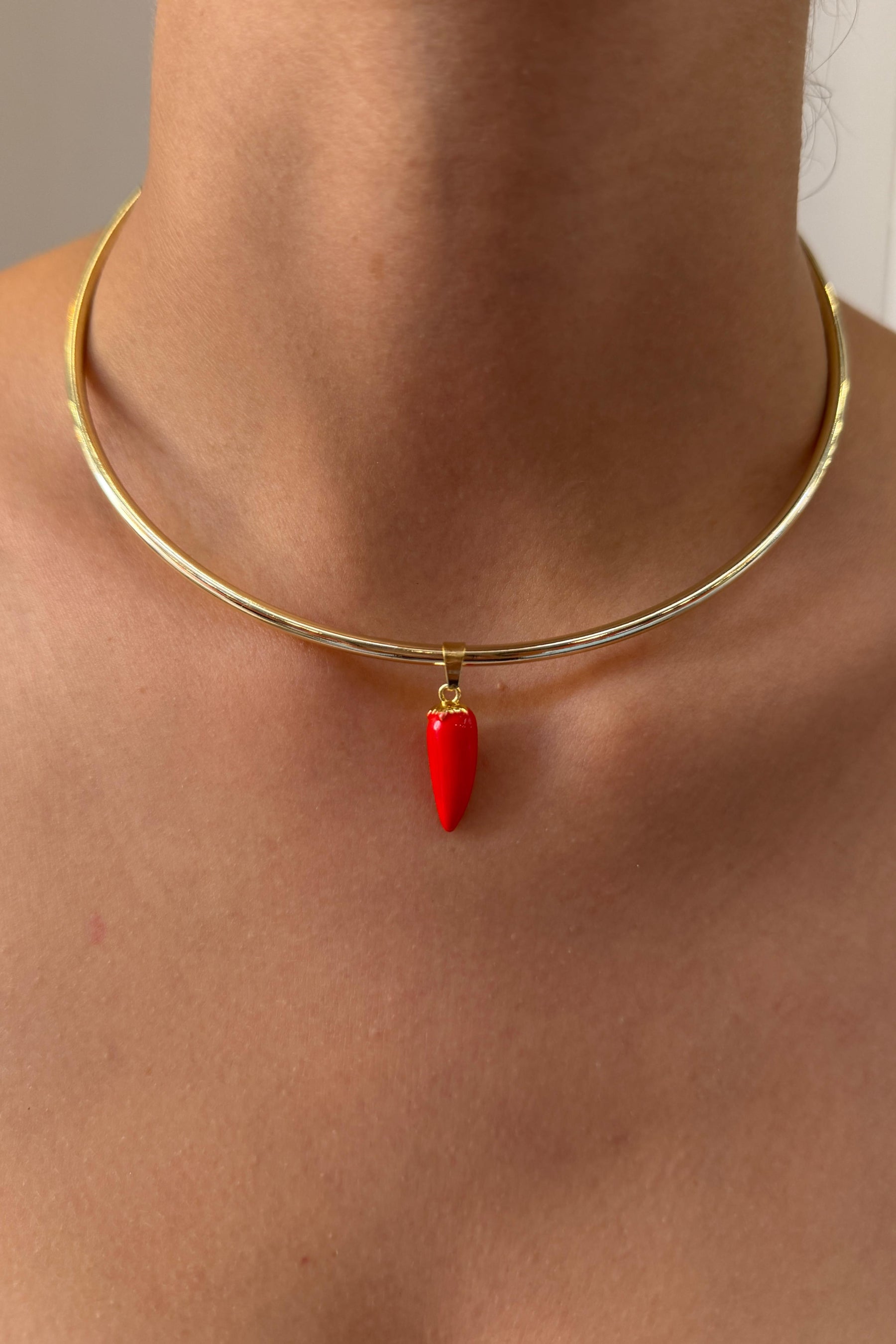 Çelik Şans Biber Choker Kolye